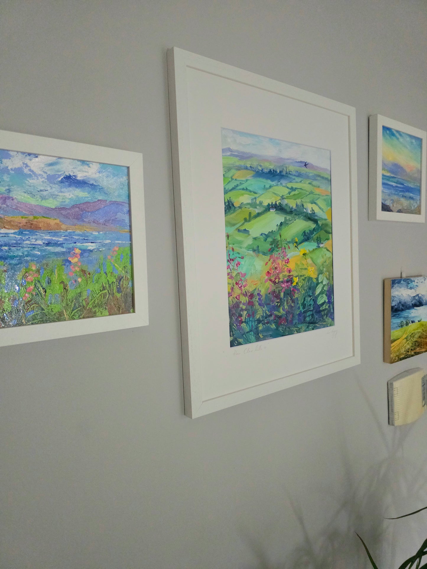 " them Clare hills "
