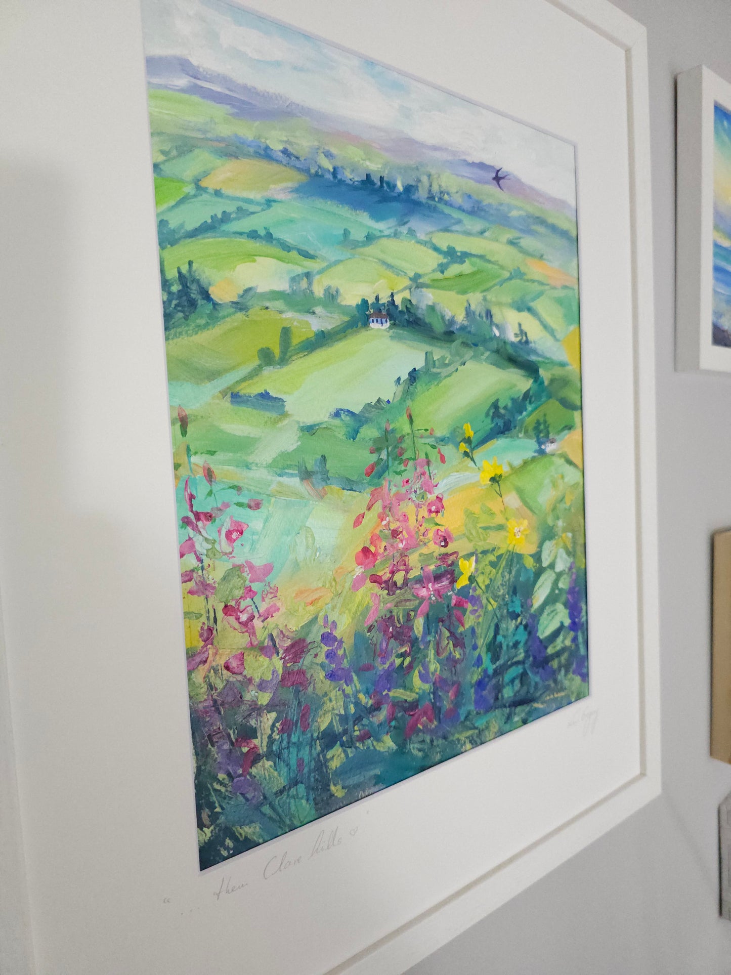 " them Clare hills "