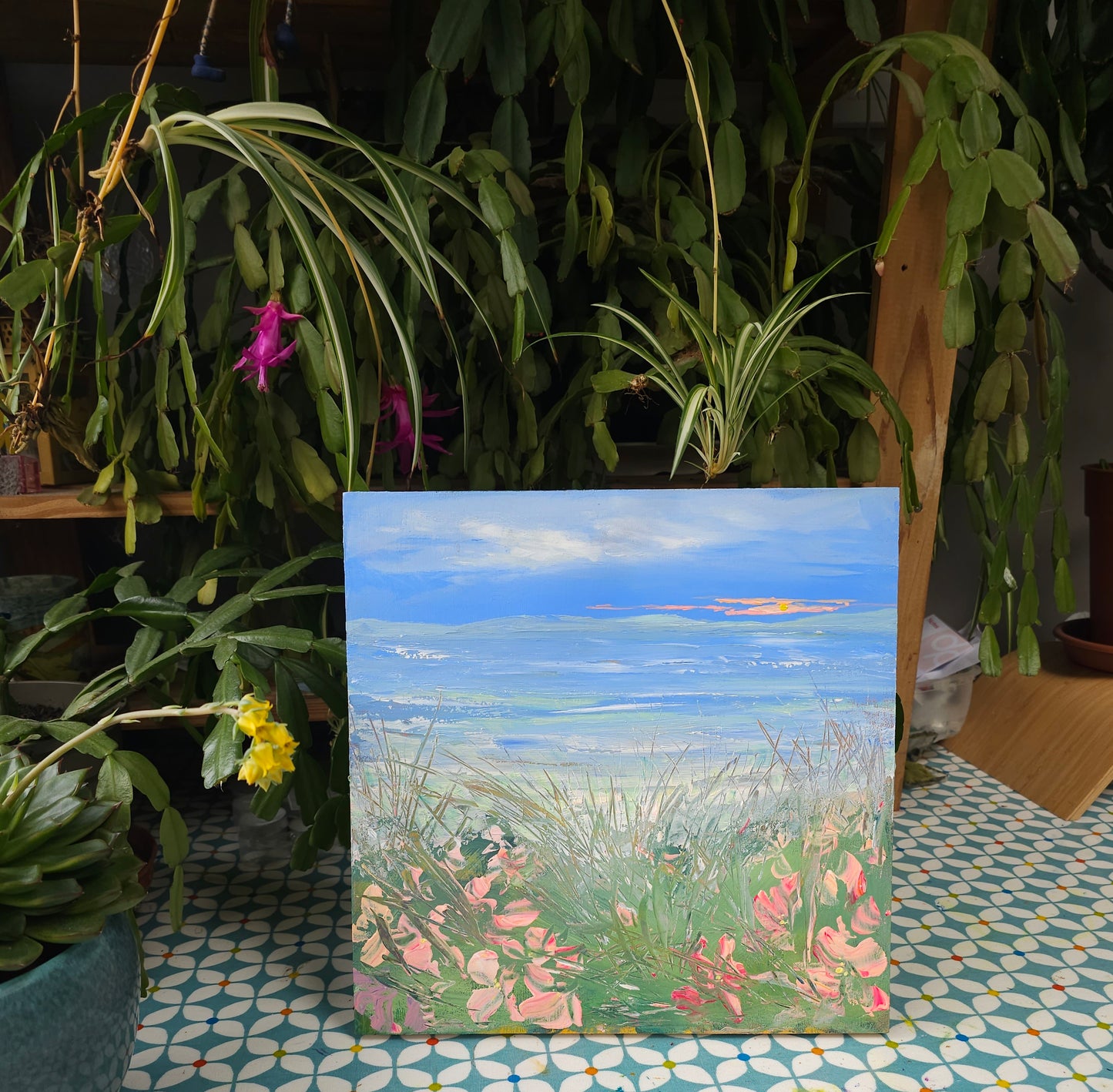 " a flush of coastal pink "