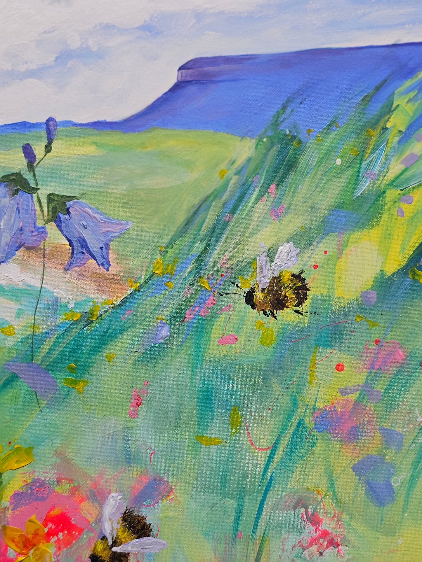 "a Summer's day out at Rosses Point"