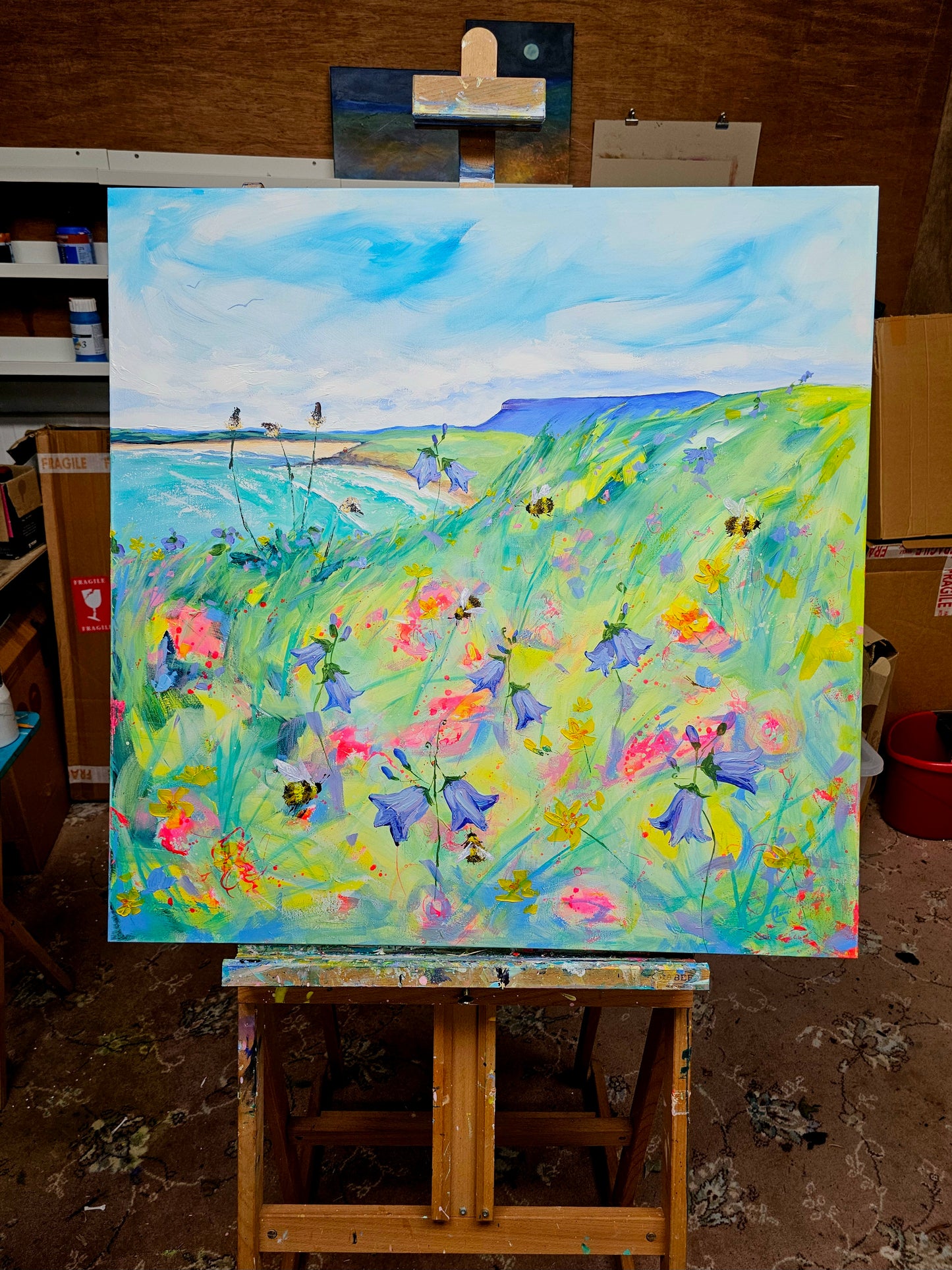 "a Summer's day out at Rosses Point"