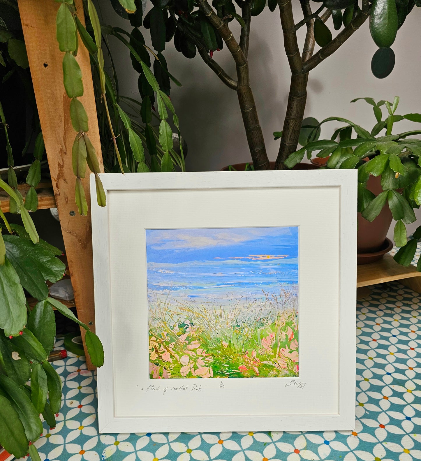 " a flush of coastal pink "