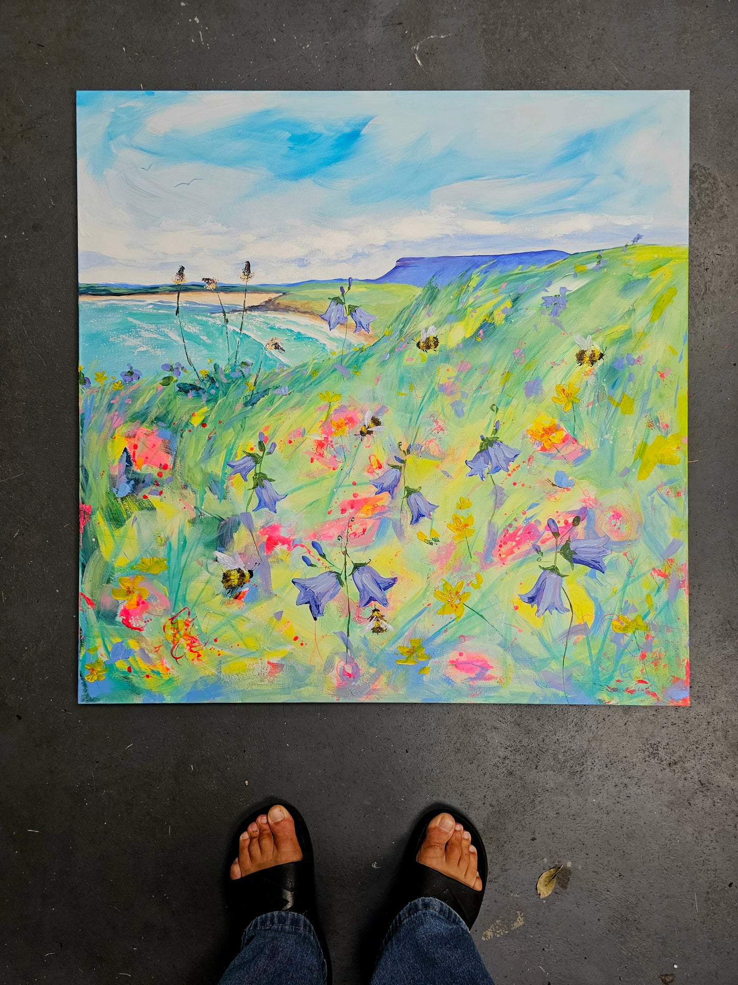 "a Summer's day out at Rosses Point"