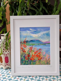 " Summer scents at Rosses Point"